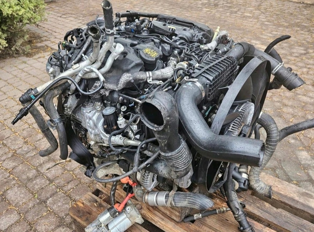 MOTOR COMPLETO RANGE ROVER 306DT foto 9
