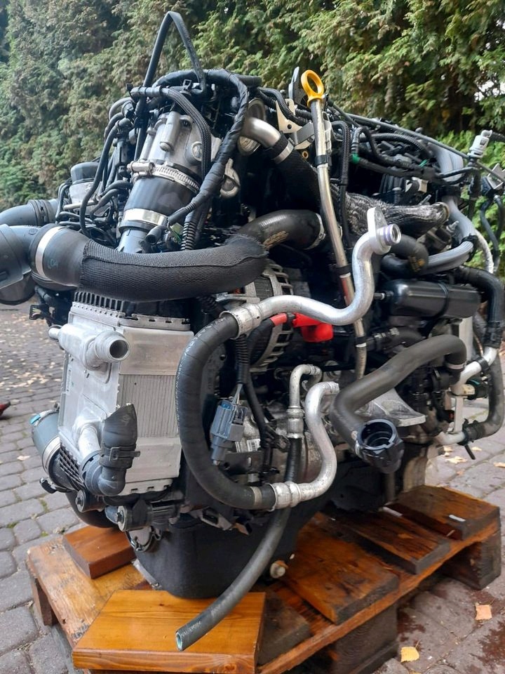 MOTOR COMPLETO JAGUAR 204DTA foto 3