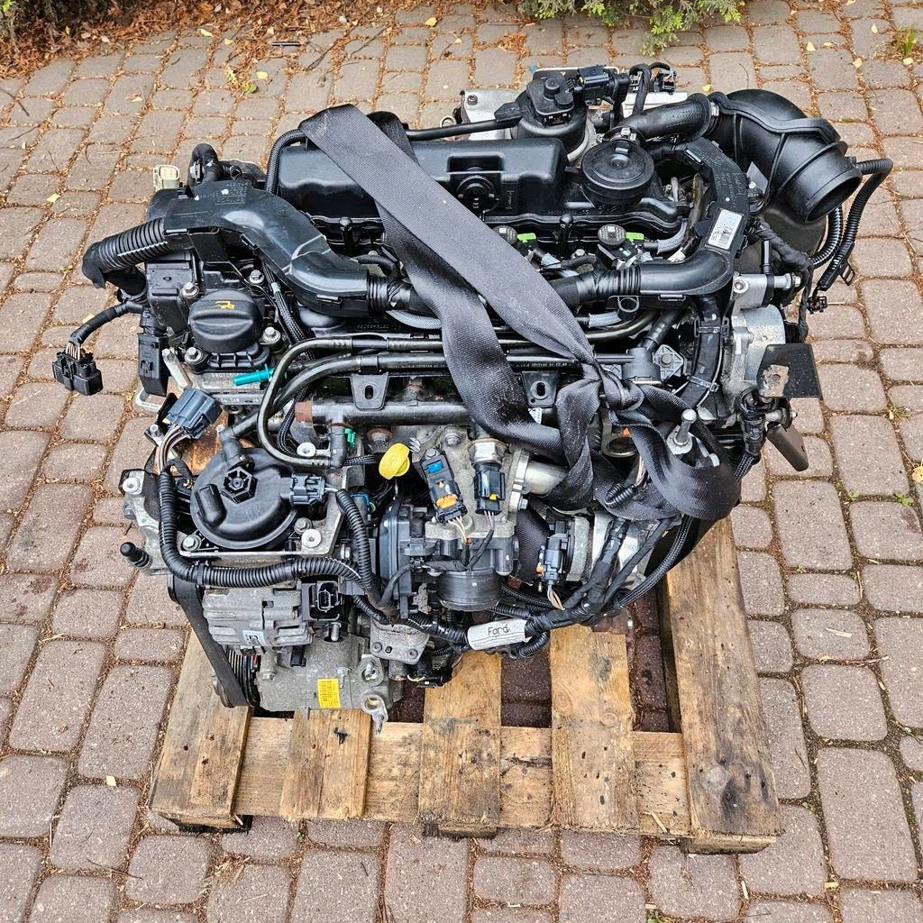 MOTOR COMPLETO FORD 2.0 TDCI T7DA T8DA T7CA T8CA foto 4