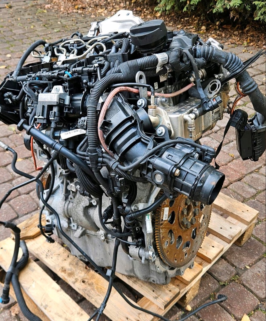 MOTOR COMPLETO BMW 218D B47C20B foto 3