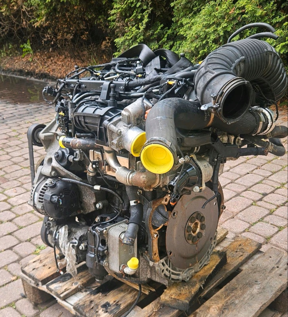 MOTOR COMPLETO HYUNDAI D4HA foto 2